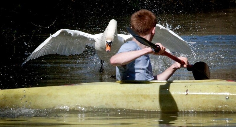 40 снимков прелестных созданий с невероятно мощной аурой позитива
40 снимков прелестных созданий с невероятно мощной аурой позитива