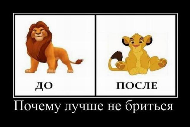 
			Демотиваторы №3740 (20 фото)