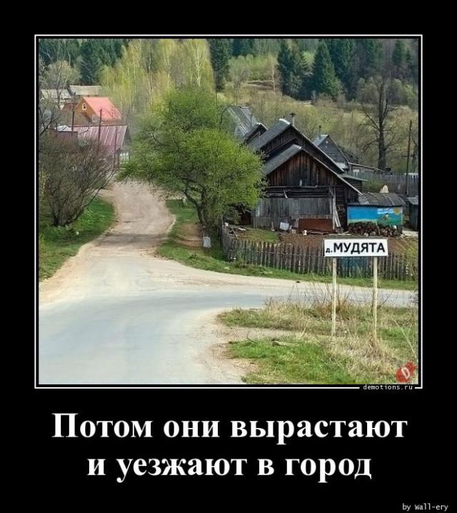 
			Демотиваторы №3746 (15 фото)