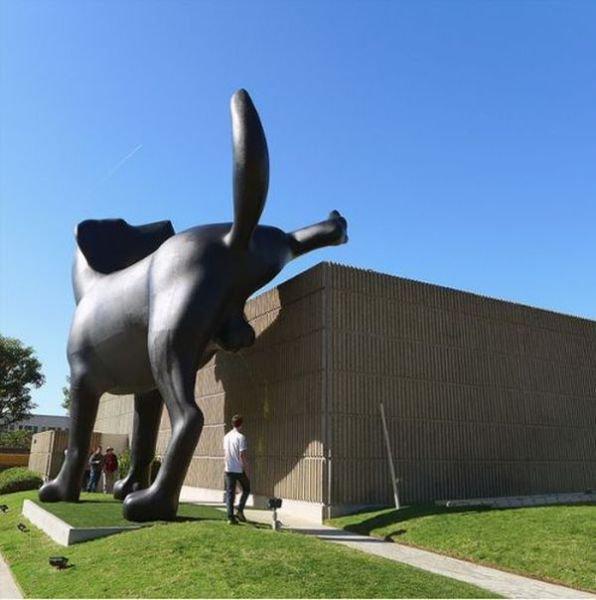 Подборка прикольных фото №3800