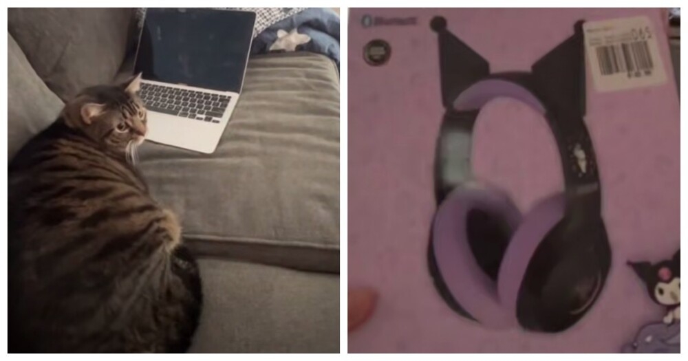 
        Кот&nbsp;невзлюбил наушники с&nbsp;ушками    