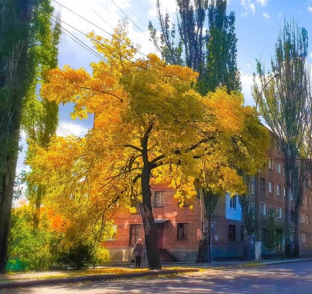 Подборка прикольных фото №3805