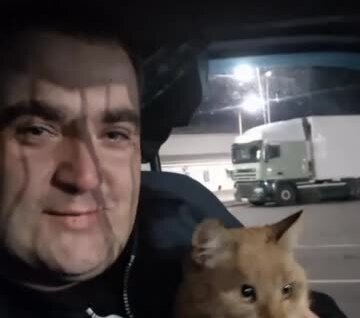 
        Дальнобойщик развелся с&nbsp;женой из-за пропавшего кота    