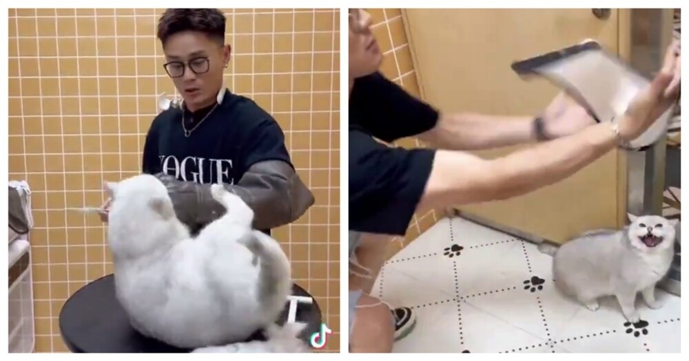 Симпатичная, но крайне нервная клиентка
Симпатичная, но крайне нервная клиентка