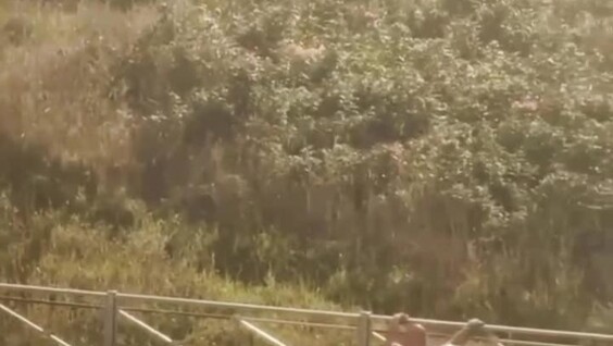 
        Голый поклонник Санкт-Петербурга    