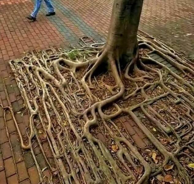 Подборка прикольных фото №3816