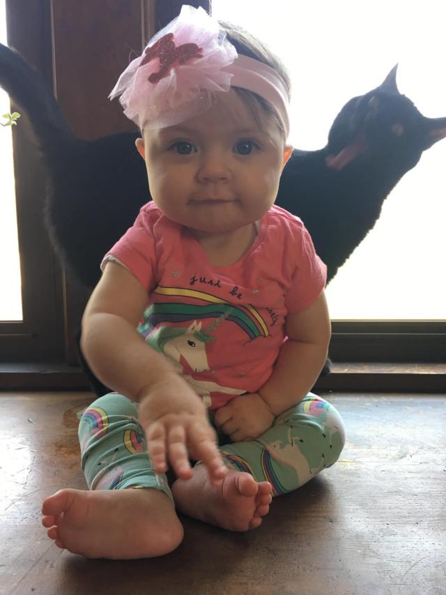 Смешные фотобомбы: пушистая версия Смешные фотобомбы: пушистая версия