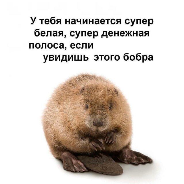 Подборка прикольных фото №3794