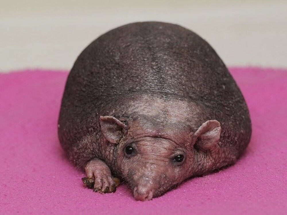 
        20&nbsp;кадров - примеров простых чудес нашего мира    