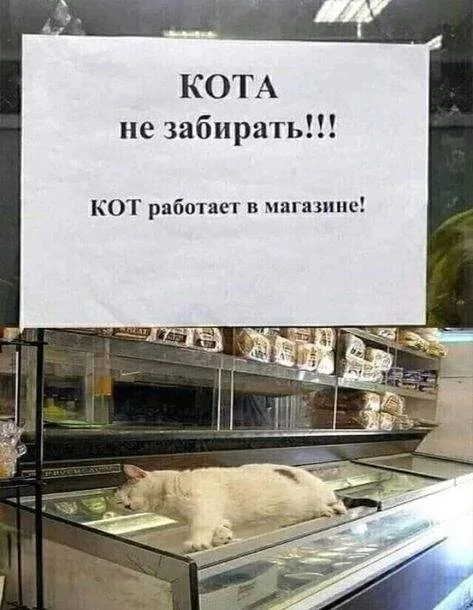 Странные и прикольные объявления с просторов страны