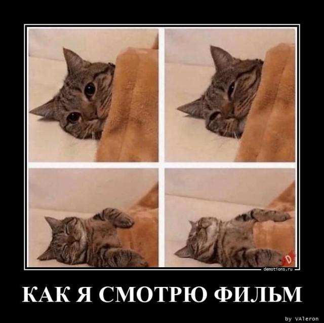 
			Демотиваторы №3757 (17 фото)