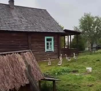 
        Туристическая деревня в Беларуси    