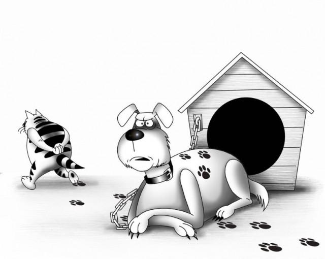 Подборка прикольных фото №3805