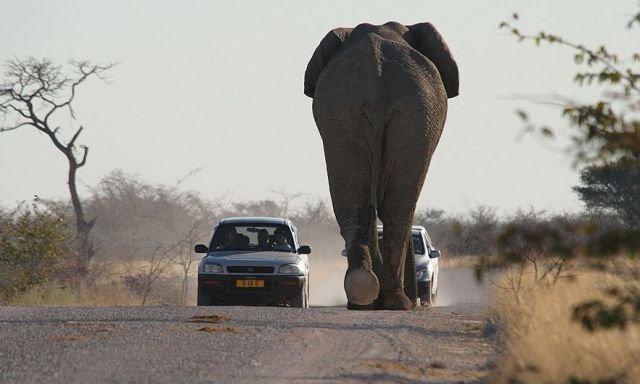 Подборка прикольных фото №3808