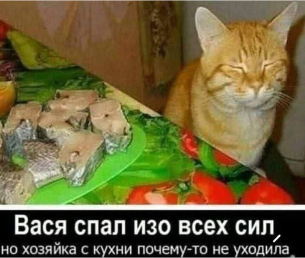 Мем №1550104