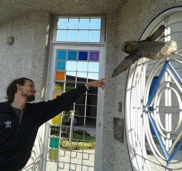 Подборка прикольных фото №3812