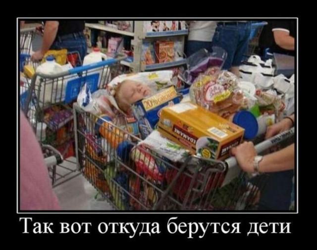 
			Демотиваторы №3753 (17 фото)