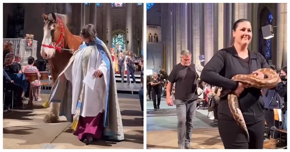 
        В&nbsp;Нью-Йорке прошла церемония благословения животных    