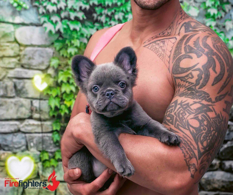 
        Австралийские пожарные сняли рубашки ради благотворительности    