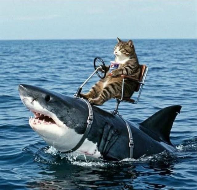 Подборка прикольных фото №3805