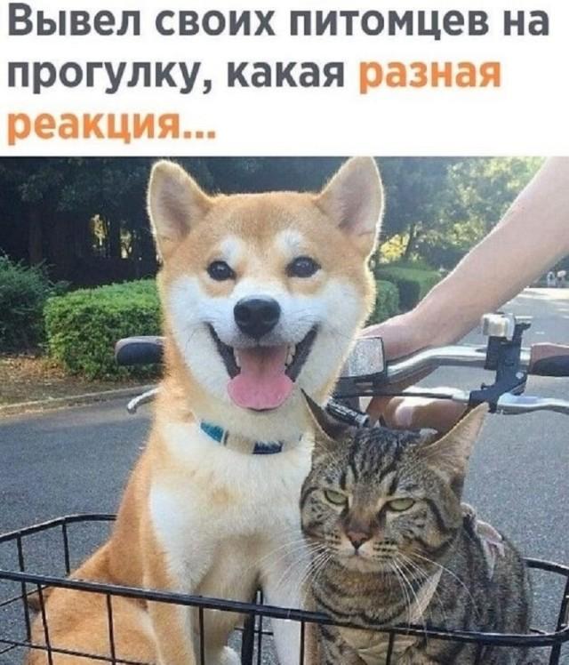 Подборка прикольных фото №3796