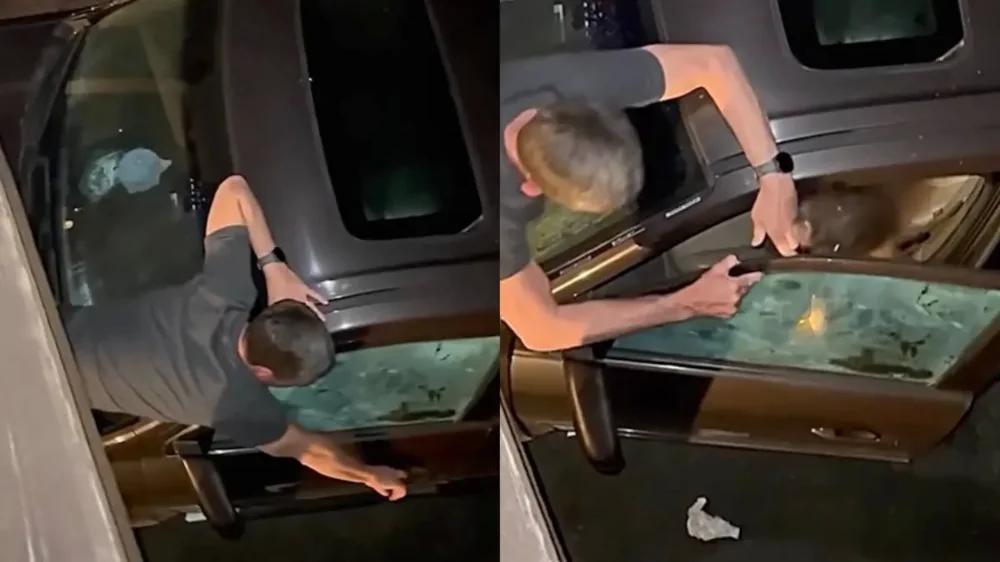 
        Медведь залез в&nbsp;машину за&nbsp;едой и&nbsp;укусил мужчину    