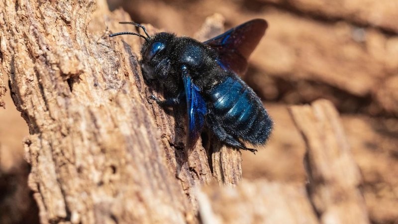 
        20&nbsp;кадров - примеров простых чудес нашего мира    