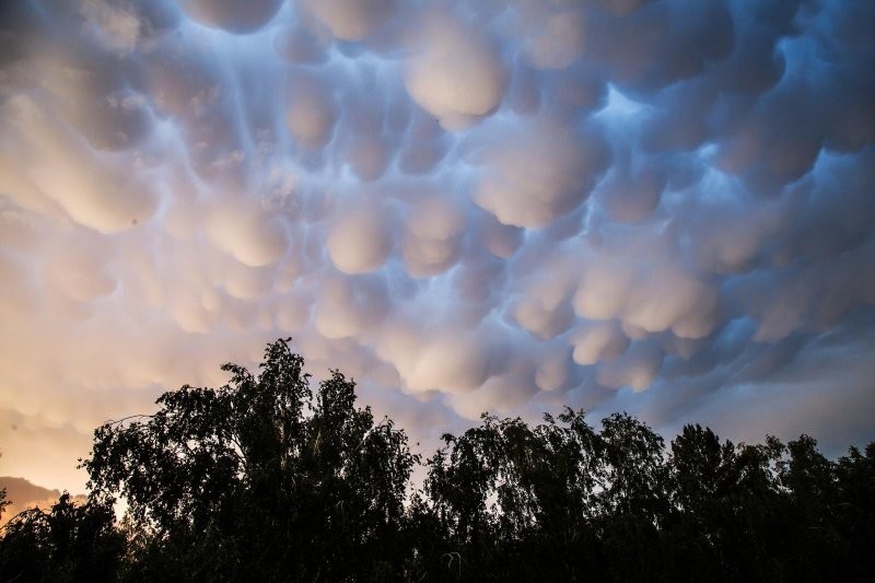 
        25&nbsp;персонажей и&nbsp;декораций небесного театра, доказывающих, что&nbsp;облака могут быть объектом искусства    