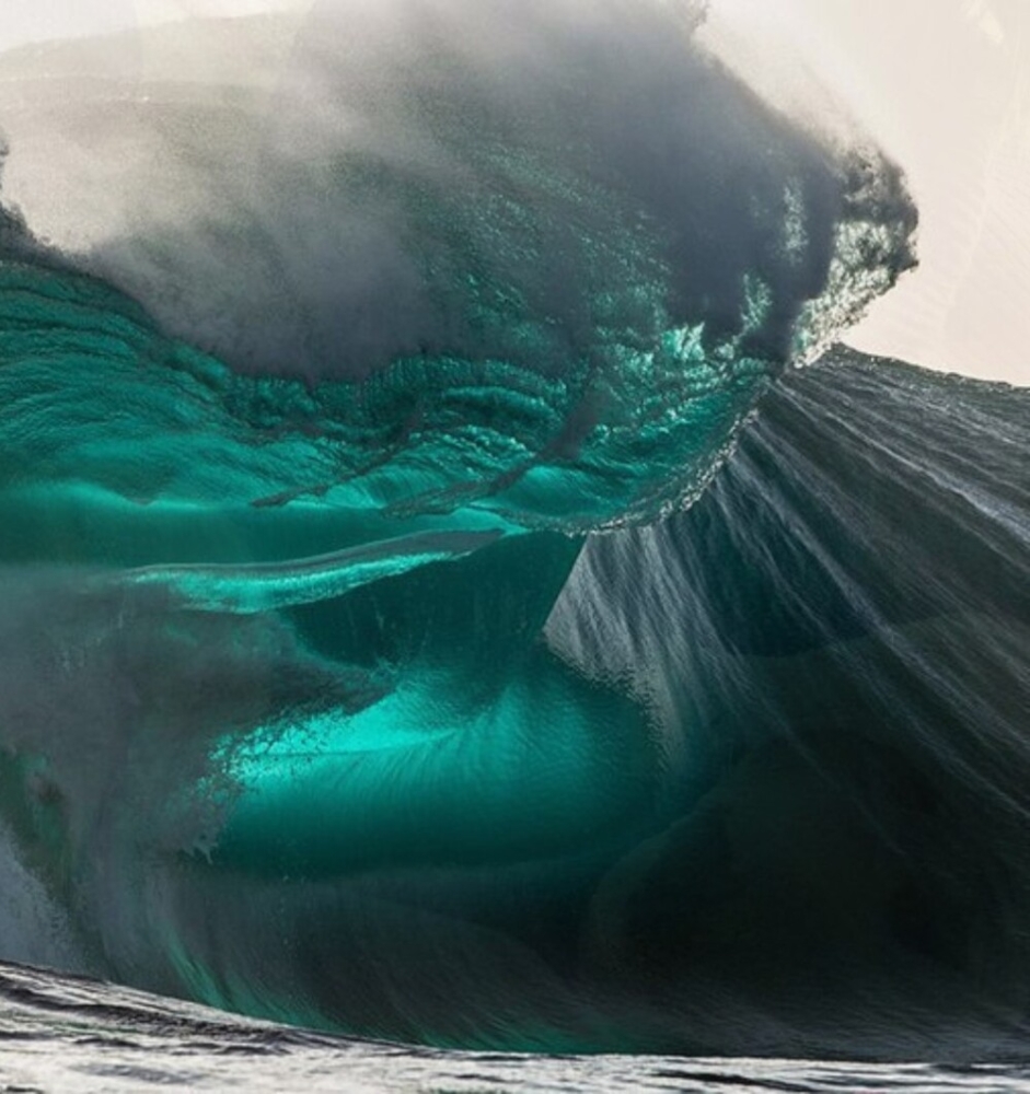 
        20&nbsp;кадров, приоткрывающих завесу тайн океанских глубин    