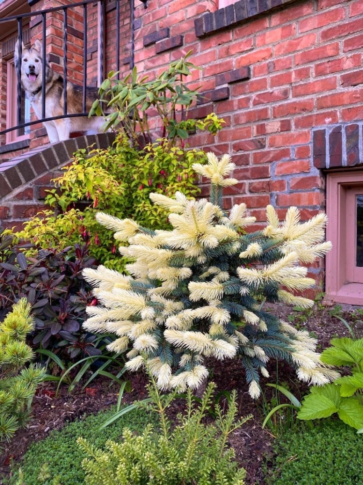 
        20&nbsp;фотографий, демонстрирующих таланты созданий природы в&nbsp;искусстве маскировки    