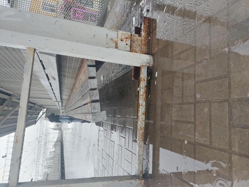 История №1552931