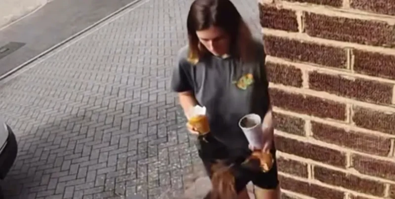 
        Собака выхватила бургер из&nbsp;рук&nbsp;хозяйки    