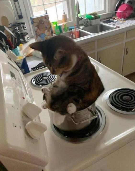 Подборка прикольных фото №3816