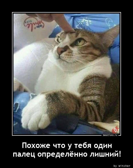 
			Демотиваторы №3746 (15 фото)