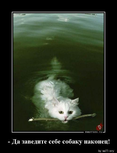 
			Демотиваторы №3762 (15 фото)