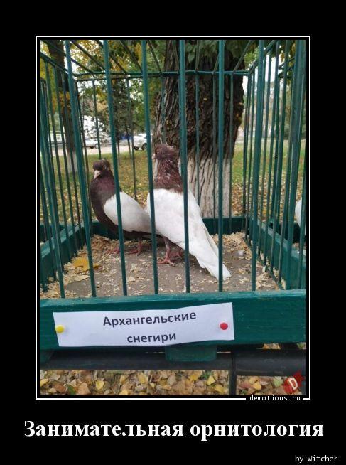 
			Демотиваторы №3748 (15 фото)