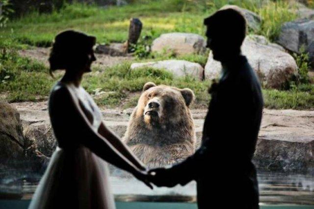 Подборка прикольных фото №3807