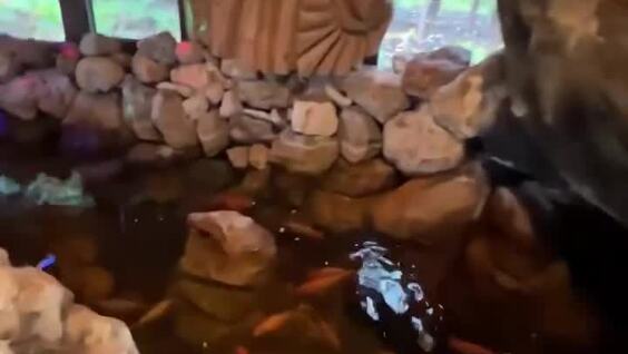 Дом Бабы-яги в Подмосковье
Дом Бабы-яги в Подмосковье