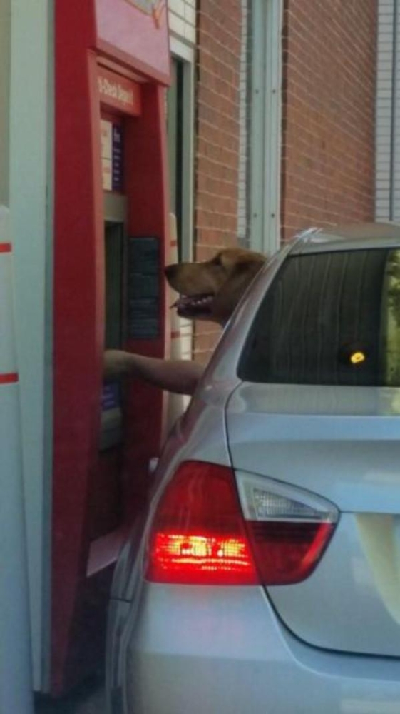 Оказалось, показалось: когда ракурс решает всё