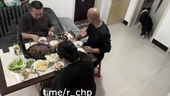 Голодный пёс проучил хозяина
Голодный пёс проучил хозяина