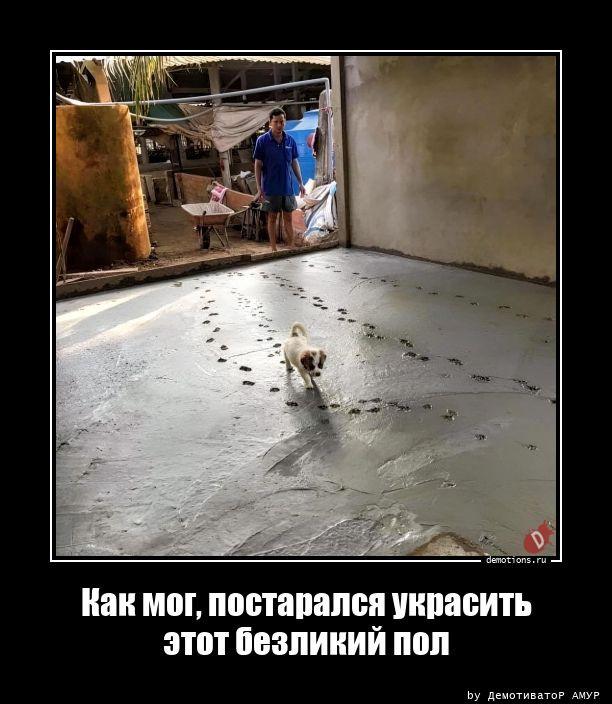 
			Демотиваторы №3757 (17 фото)