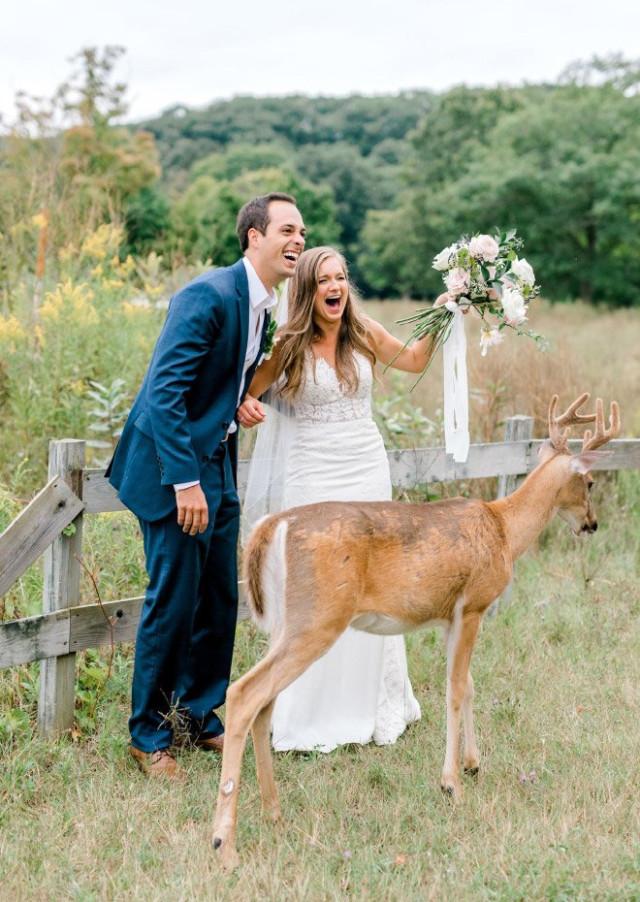Свадебные фотобомбы: когда идеальные кадры идут не по плану Свадебные фотобомбы: когда идеальные кадры идут не по плану