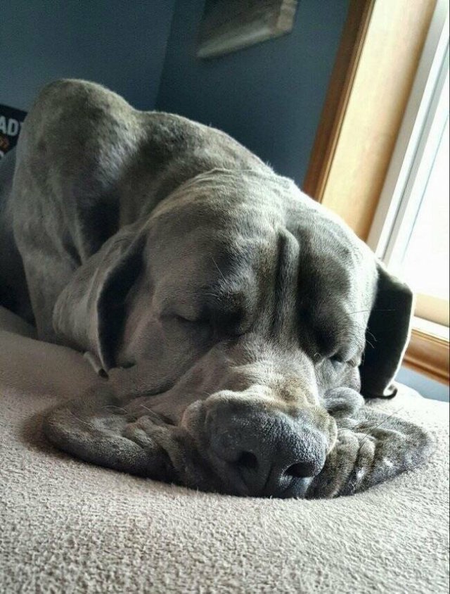 Подборка картинок. Вечерний выпуск - 31.10.2025 (30 фото)