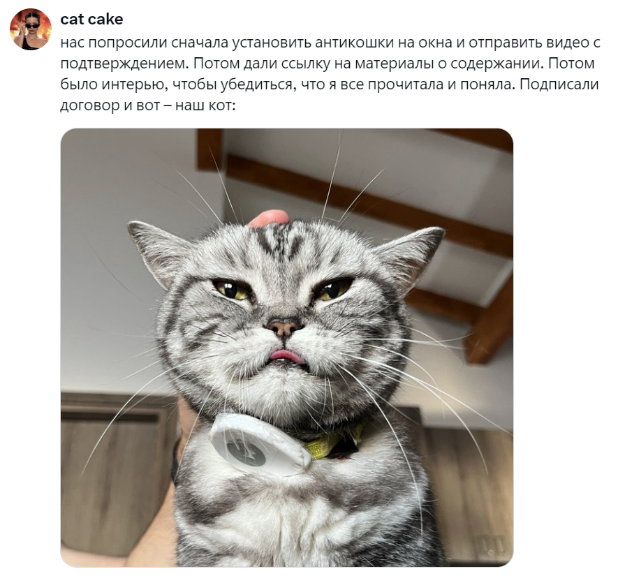 
        Подробная анкета в&nbsp;приютах для&nbsp;животных &ndash; необходимая защита или&nbsp;избыточная преграда?    