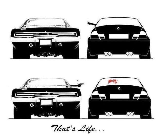 Подборка прикольных фото №3800