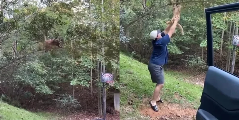 
        Спасение кота обернулось курьёзом    