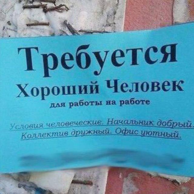 Объявления, реклама и вывески: смех сквозь маркетинг