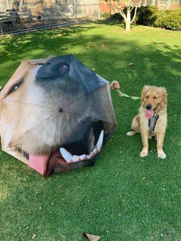 Подборка прикольных фото №3806