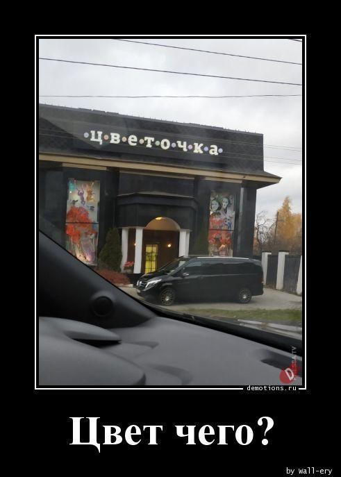 
			Демотиваторы №3762 (15 фото)