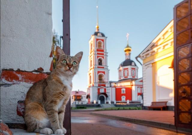 Подборка прикольных фото №3813